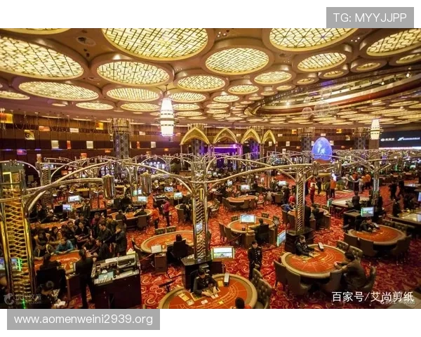 澳门真人开户平台推荐，安全靠谱的实时娱乐体验选择指南